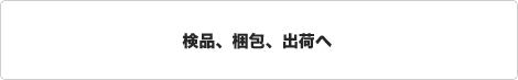 検品、梱包、出荷へ